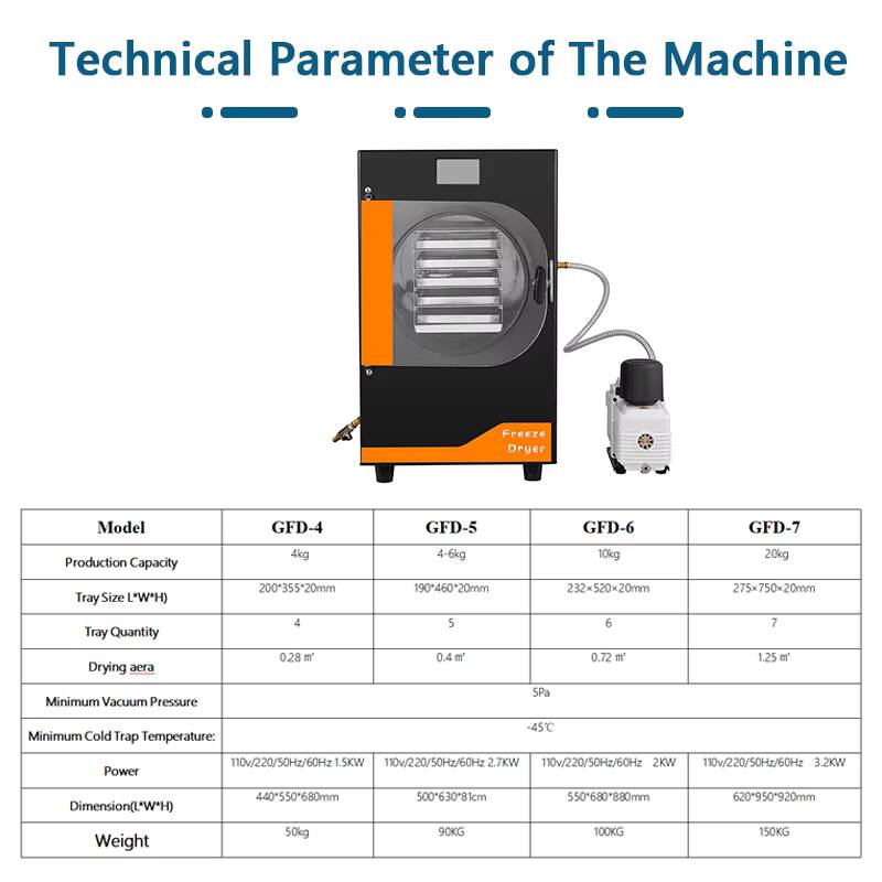20Kg Automatic Gear Freeze Mac - Snacks Food Usa review and price