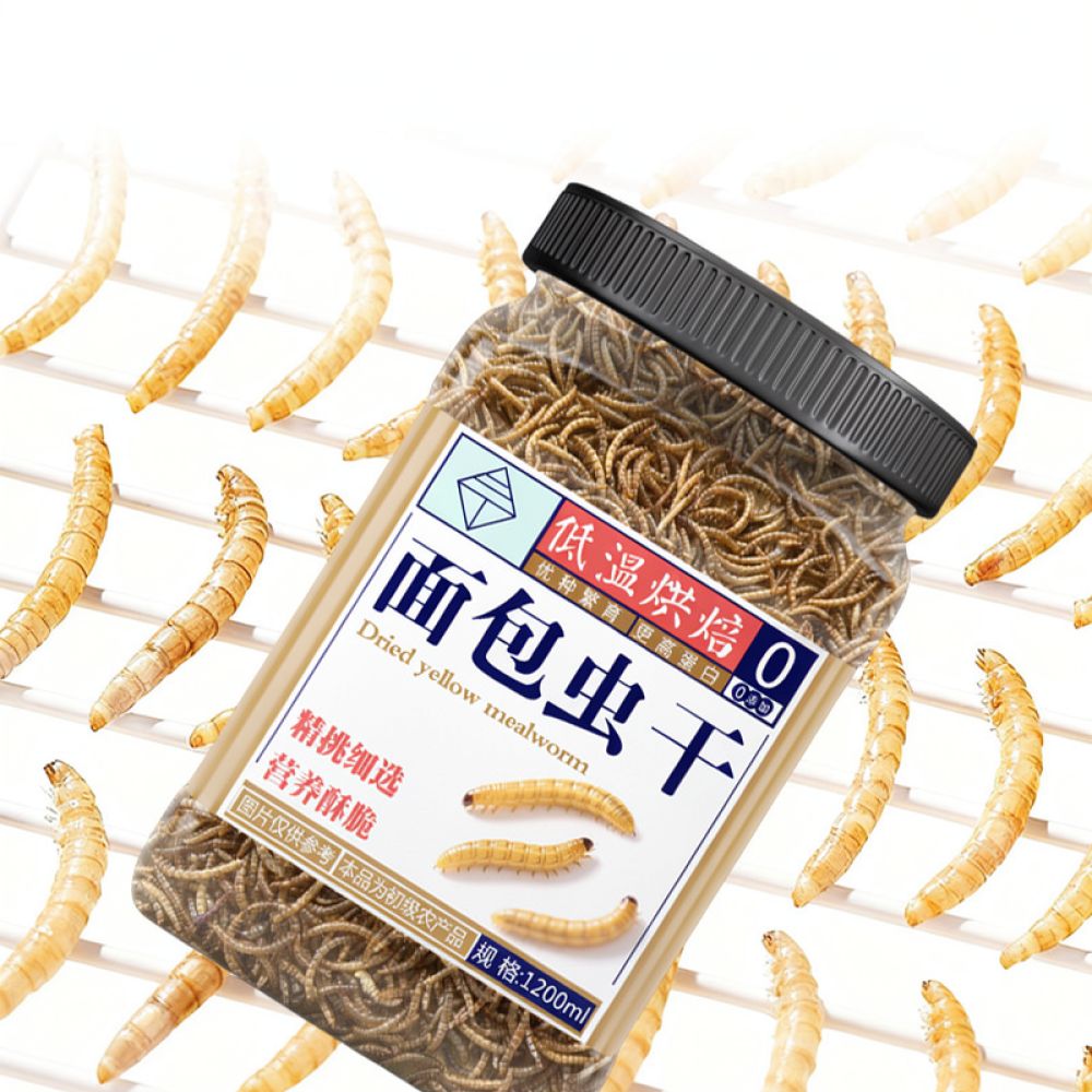 Premium Dried Mealworms For Bi - Food Snacks High In Protein review and price